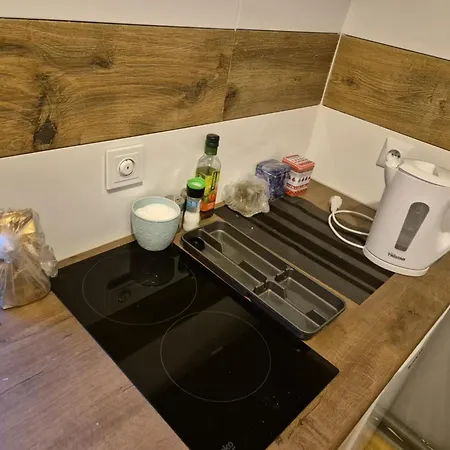 Апартаменты Przytulna Kawalerka W Centrum Poznania