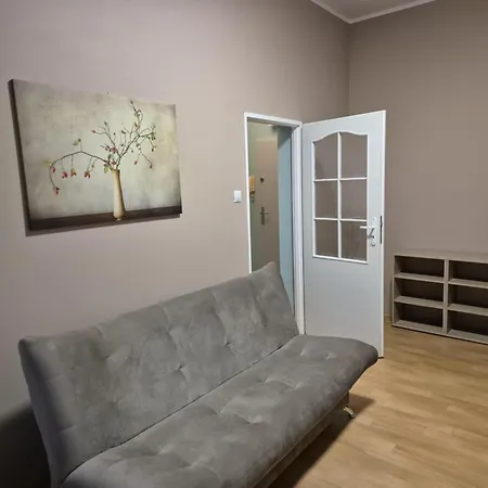 Przytulna Kawalerka W Centrum Poznania Apartment *